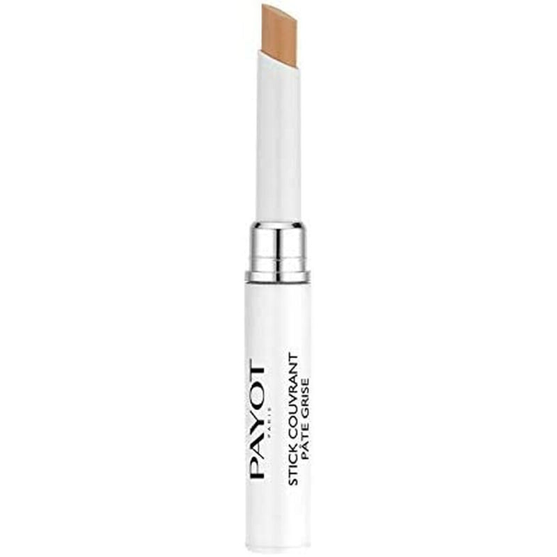 Crayon Correcteur Payot Pâte Grise 6 ml 2 en 1 Purificatrice Beauté, Maquillage Payot   