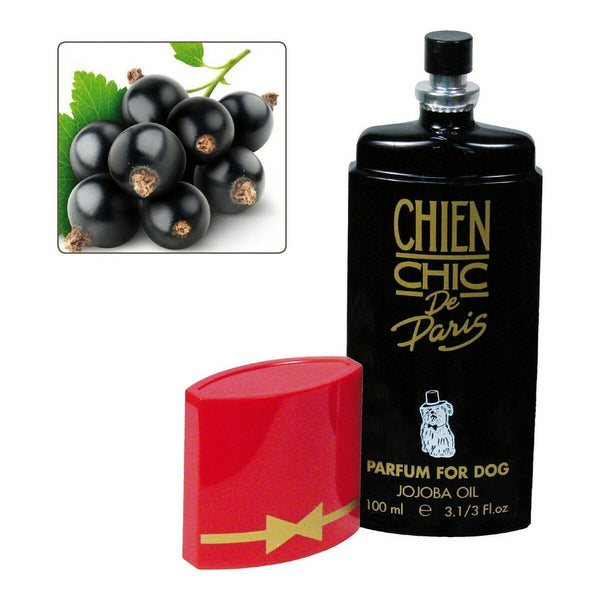 Parfum pour animaux domestiques Chien Chic Chien Cassis (100 ml) Produits pour animaux de compagnie, Chiens Chien Chic   