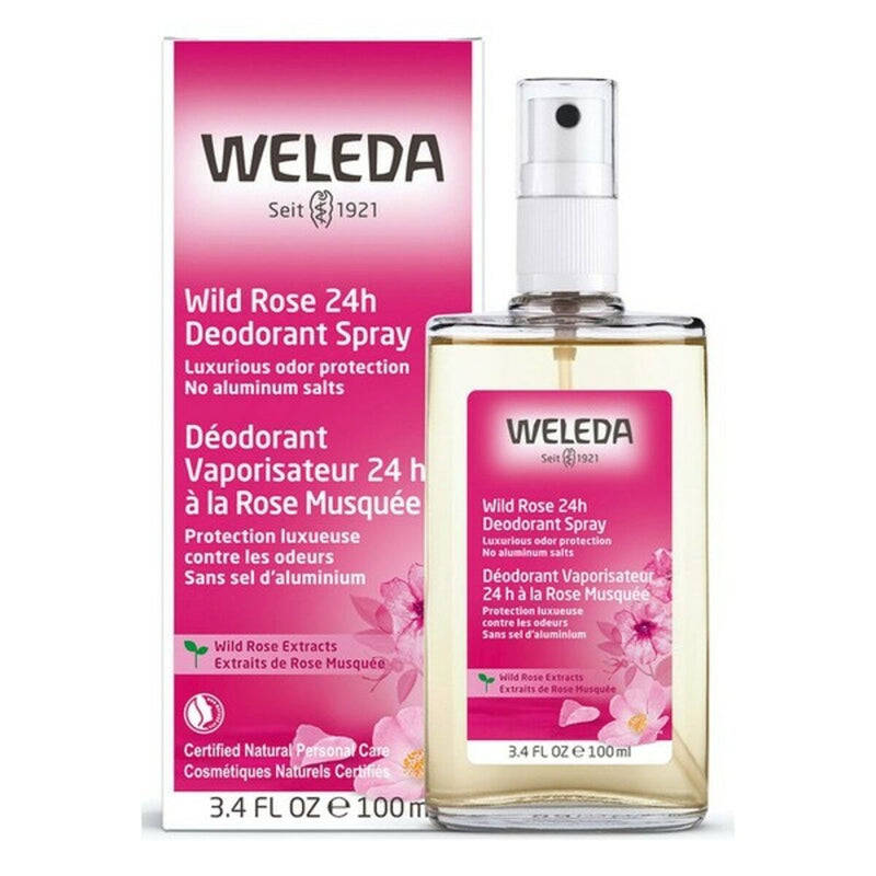 Déodorant roll-on à l'églantier Weleda 4001638088084 (100 ml) Beauté, Bain et hygiène personnelle Weleda   