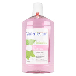 Bain de Bouche Vademecum Enjuague Bucal Sin Alcohol 700 ml Santé et toilette intime, Soins bucco-dentaires Vademecum   