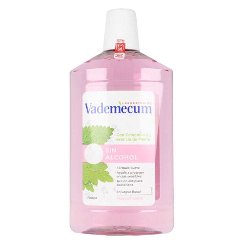 Bain de Bouche Vademecum Enjuague Bucal Sin Alcohol 700 ml Santé et toilette intime, Soins bucco-dentaires Vademecum   